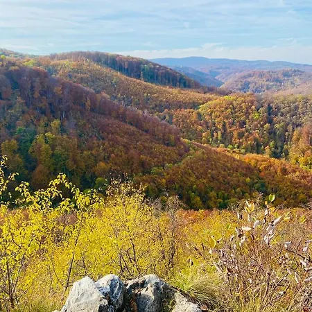 Riverside Apartman****