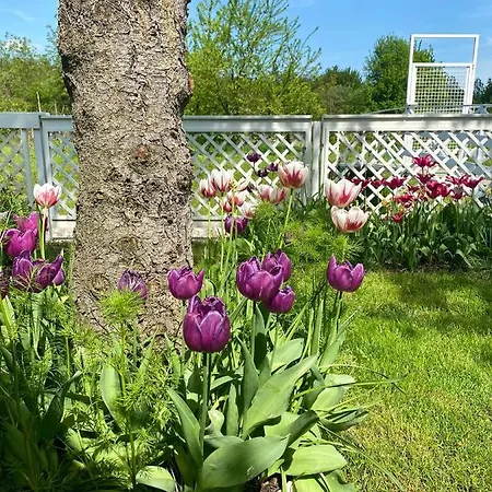 Apartment Riverside Apartman**** Miskolc