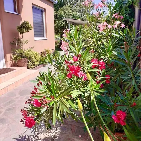 Riverside Apartman**** Miskolc