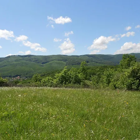 Riverside Apartman**** *