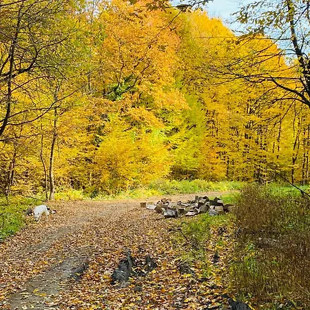 Apartment Riverside Apartman****