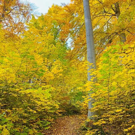 Riverside Apartman**** Apartment