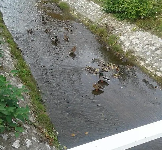 Riverside Apartman**** Miskolc